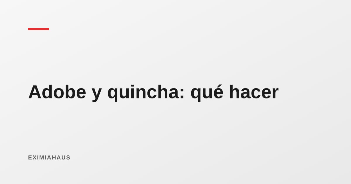 Adobe y quincha: qué hacer si tu casa es de tierra y quieres que resista un sismo