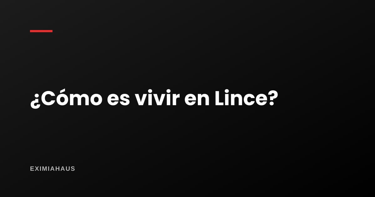 ¿Cómo es vivir en Lince?