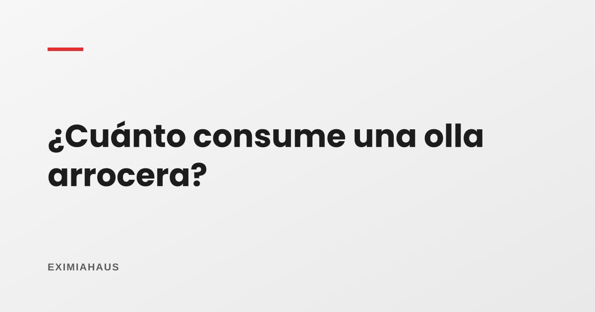 ¿Cuánto consume una olla arrocera?