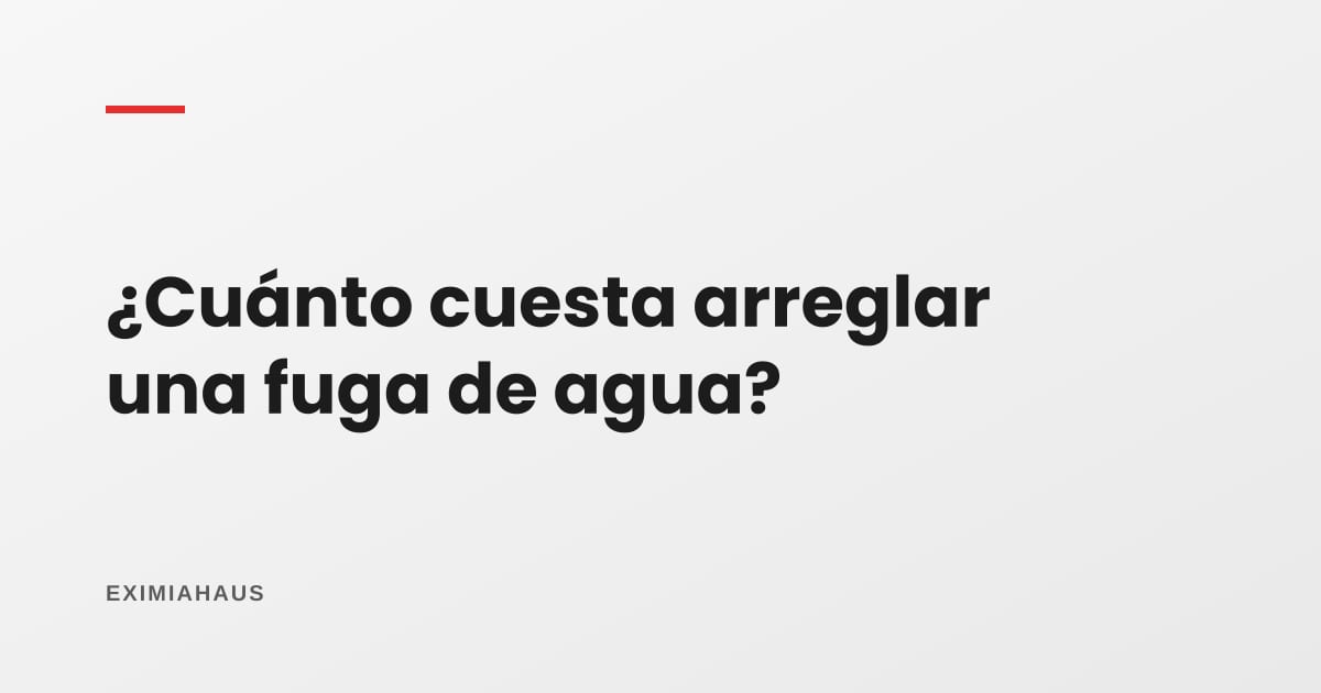 ¿Cuánto cuesta arreglar una fuga de agua?