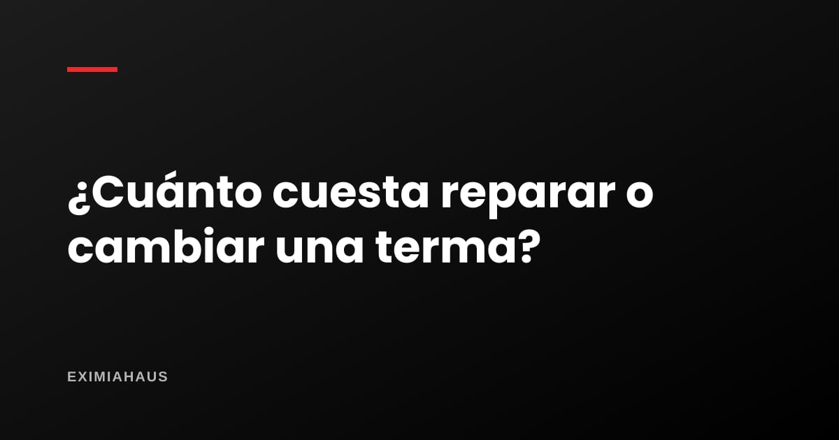 ¿Cuánto cuesta reparar o cambiar una terma?