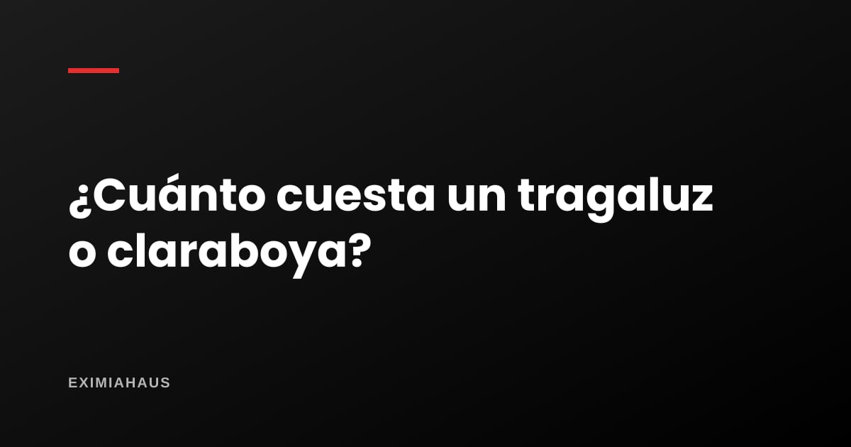 ¿Cuánto cuesta un tragaluz o claraboya?