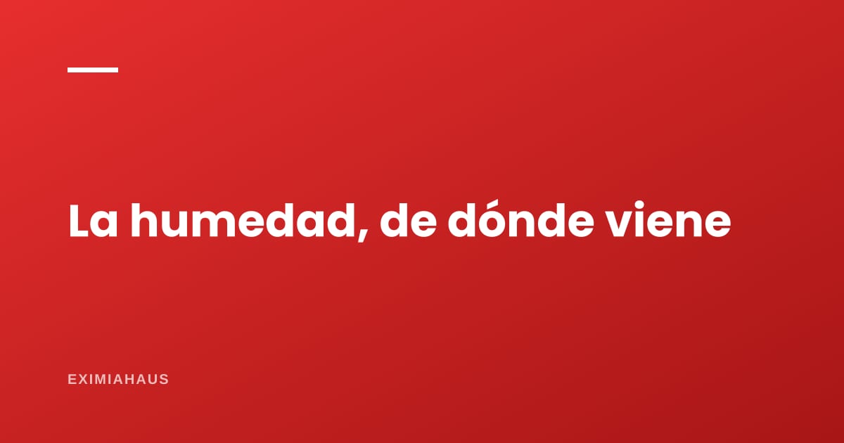 ¿De dónde viene la humedad de mi pared y cómo se diagnostica?
