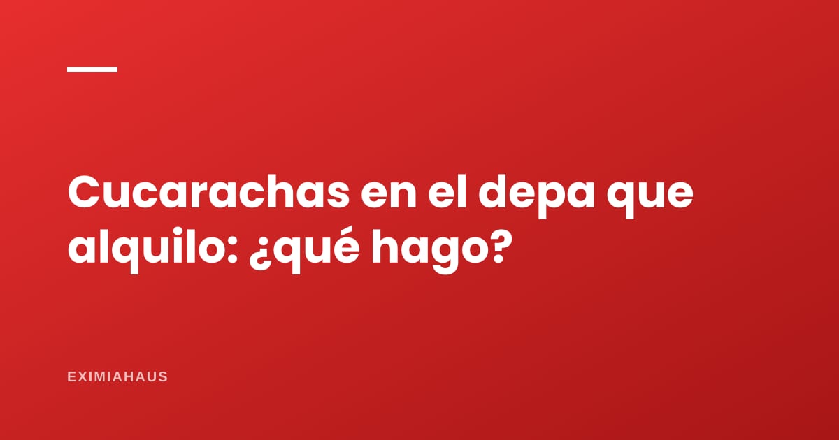 ¿Hay cucarachas en el departamento que alquilo? Qué hacer y quién paga