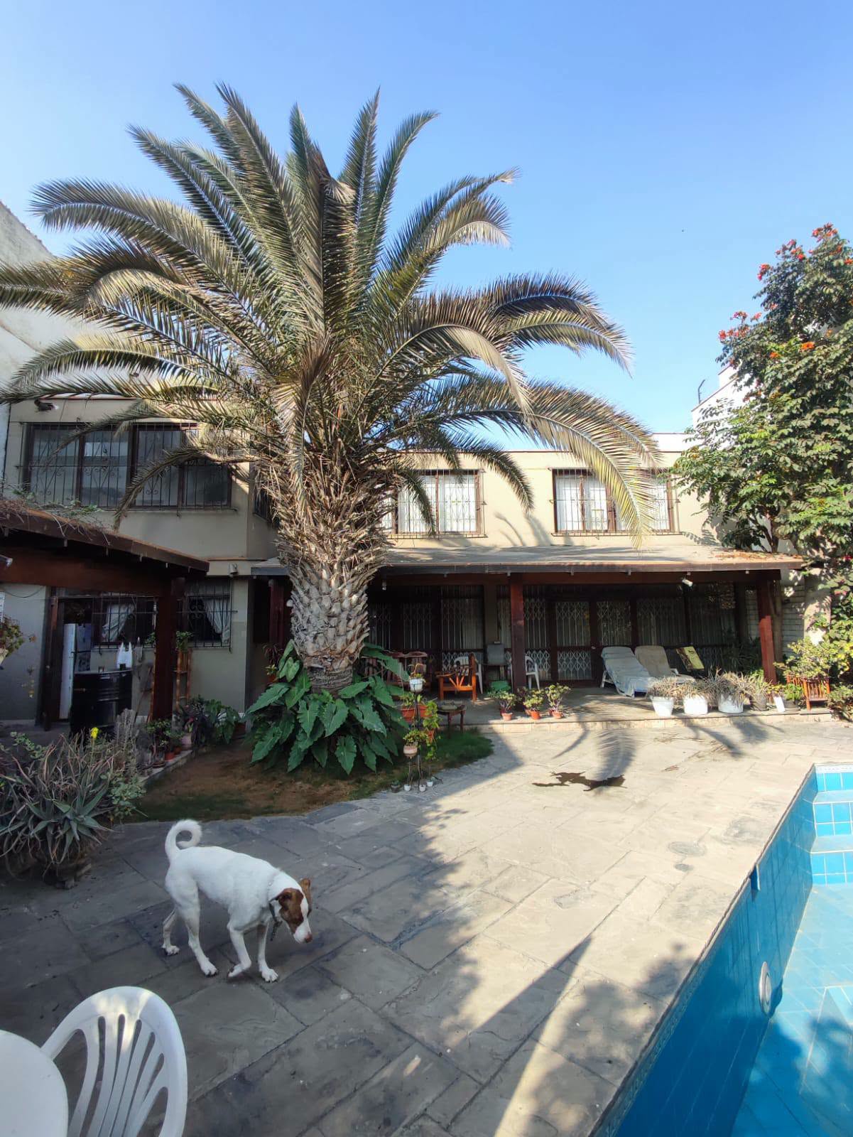 Vendo casa para proyecto en Chacarilla $ 1´100,000
