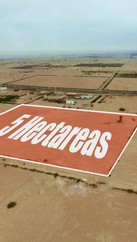 VENDO TERRENO 5 HECTAREAS EN PARACAS