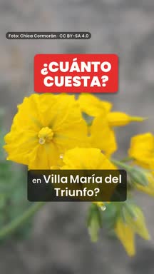 Video de Villa María del Triunfo