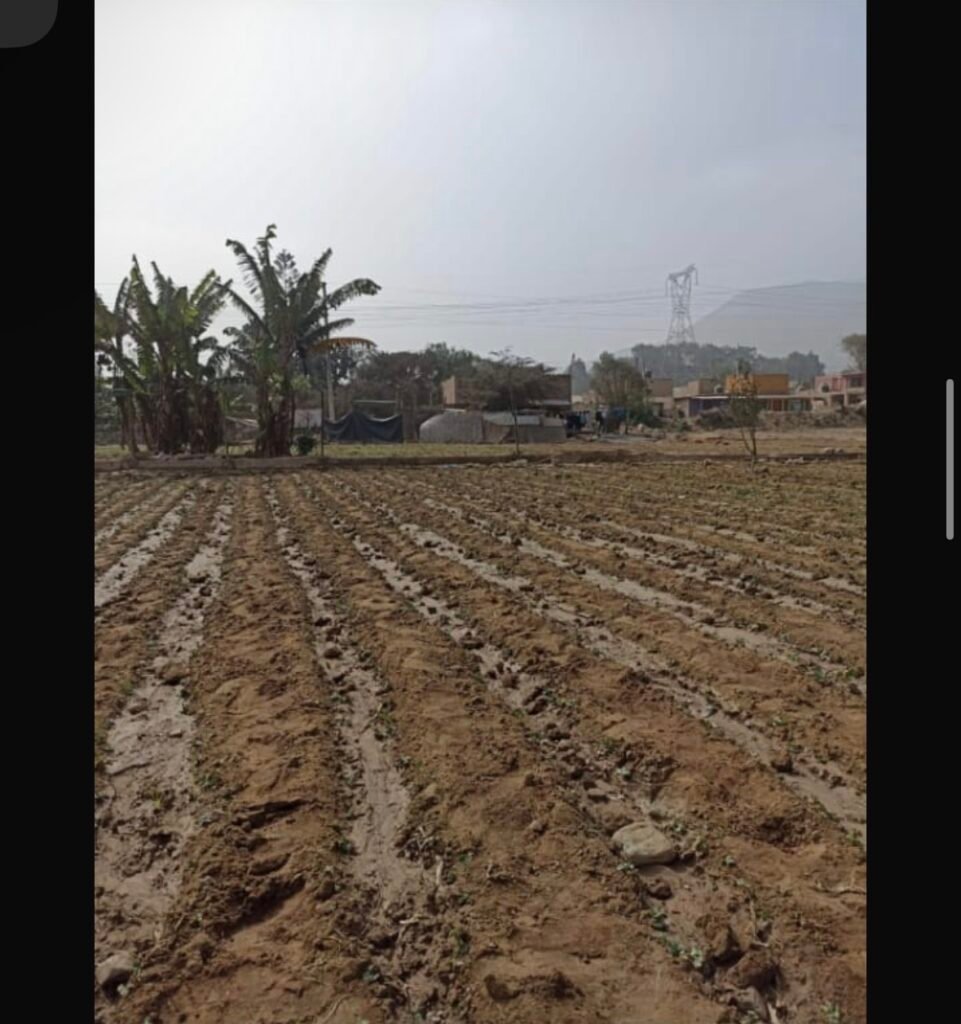 Terreno en Venta – 2,230 m² en Los Huertos de Manchay (Pachacámac)